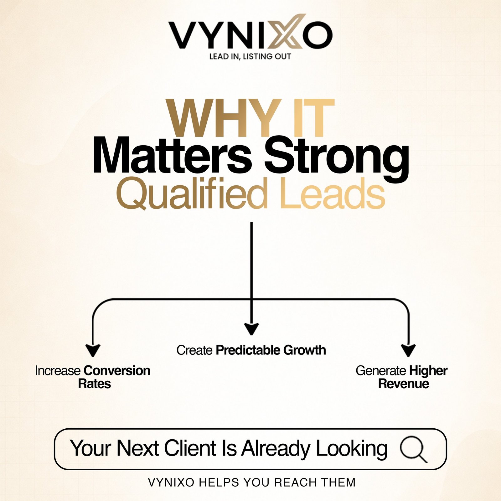 Qualified Leads — Vynixo